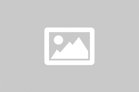 Resultados - Soja tem aumento de 5,0 sc/ha na produtividade