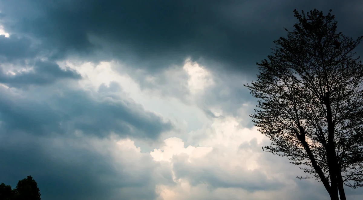 El Niño na agricultura: impactos no solo e nas lavouras