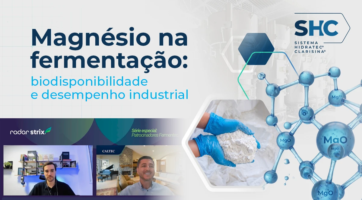 Magnésio na fermentação: biodisponibilidade e desempenho industrial