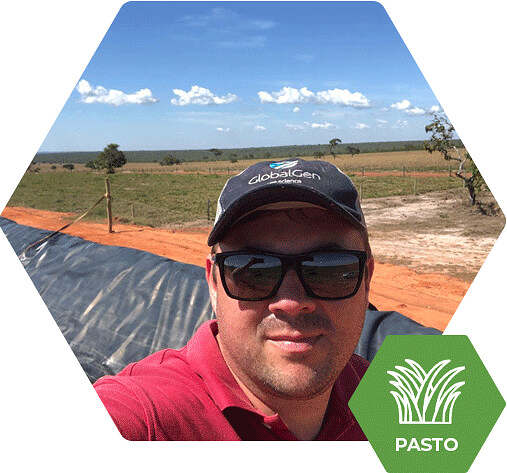 RF170 na pastagem